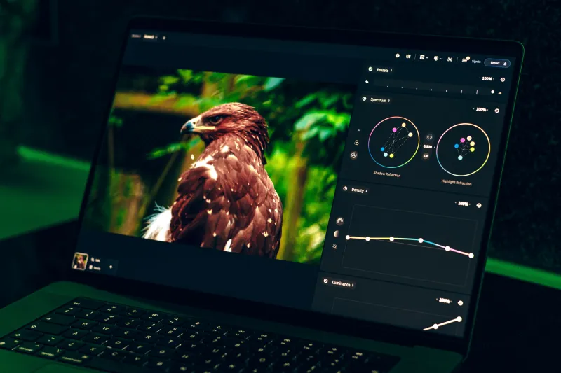 Why AI Photo Editing Is a Great Starting Point